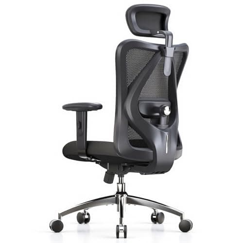 SIHOO SIHOO M18 Ergonomic Mesh Office Chair with Headrest