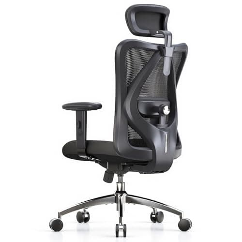 SIHOO SIHOO M18 Ergonomic Mesh Office Chair with Headrest