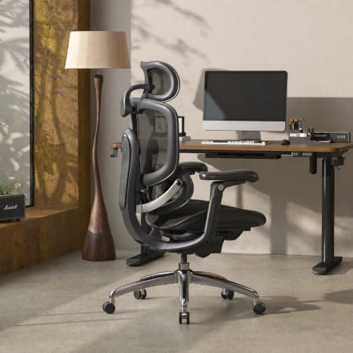 SIHOO Doro C300 Pro V2 Ergonomic Chair