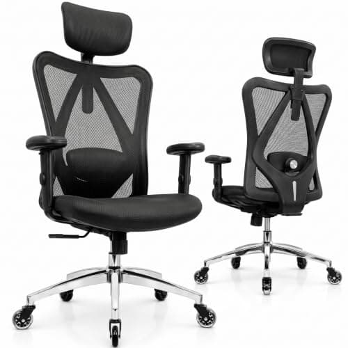 Duramont Duramont Ergonomic Office Chair with Lumbar Support