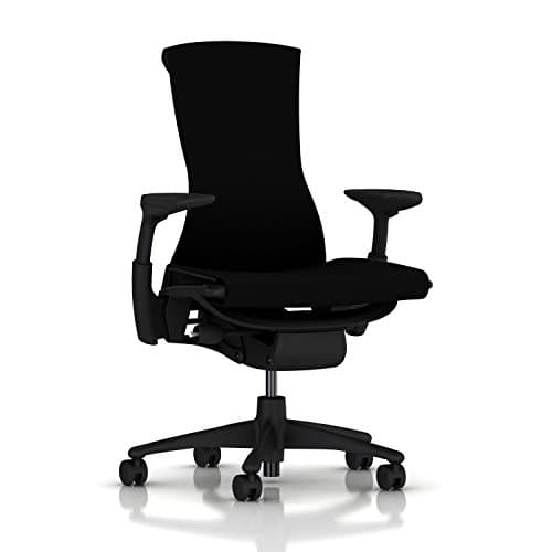 Herman Miller Herman Miller Embody Chair (the adaptive case)