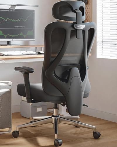 Hbada Hbada P3 Ergonomic Office Chair